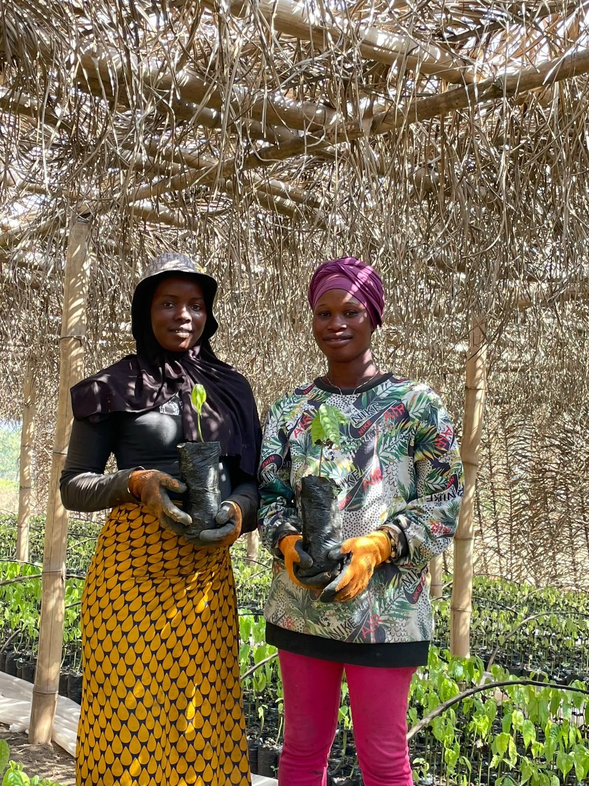 Two women holding coffee seedlings at the nursery